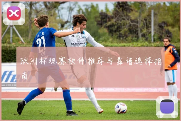 欧洲杯观赛软件推荐与靠谱选择指南