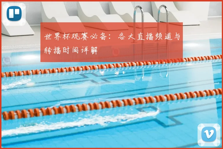 世界杯观赛必备：各大直播频道与转播时间详解