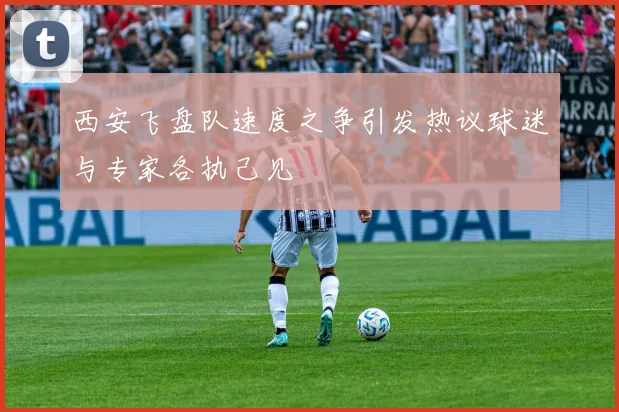 西安飞盘队速度之争引发热议球迷与专家各执己见