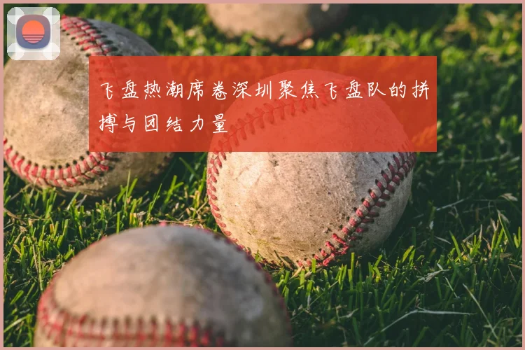 飞盘热潮席卷深圳聚焦飞盘队的拼搏与团结力量