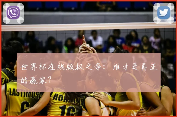 世界杯在线版权之争:谁才是真正的赢家?