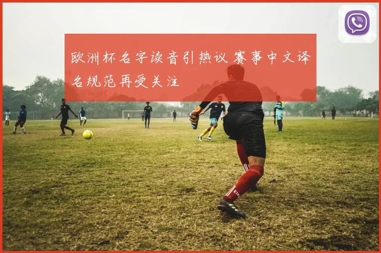 欧洲杯名字读音引热议 赛事中文译名规范再受关注