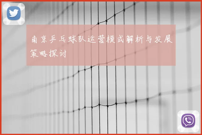 南京乒乓球队运营模式解析与发展策略探讨