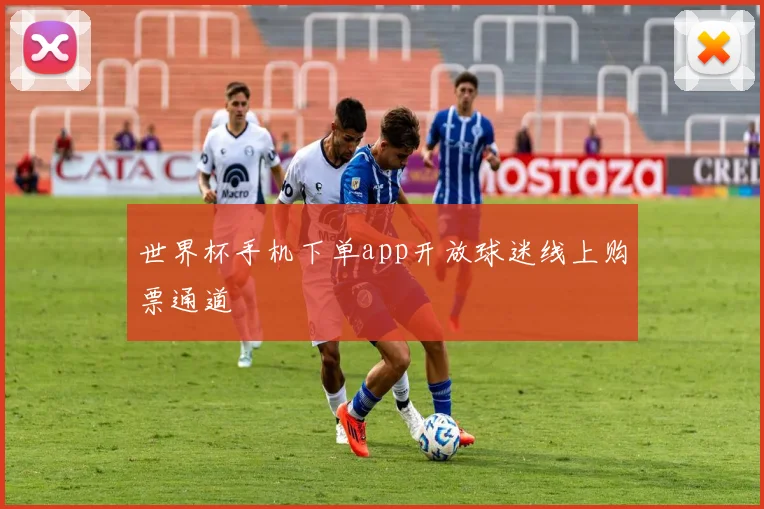 世界杯手机下单app开放球迷线上购票通道