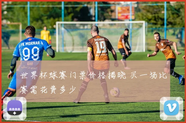 世界杯球赛门票价格揭晓 买一场比赛需花费多少
