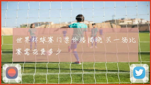 世界杯球赛门票价格揭晓 买一场比赛需花费多少