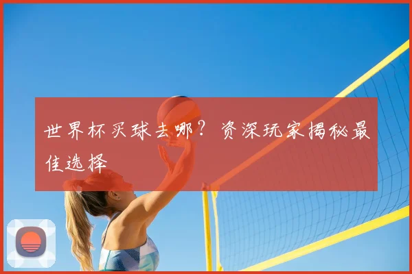 世界杯买球去哪?资深玩家揭秘最佳选择